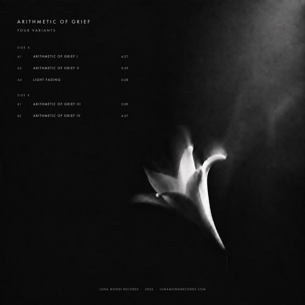 Arithmetic of Grief back cover
